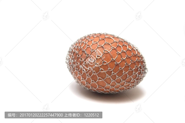 雞蛋