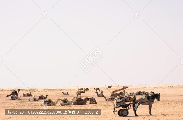 撒哈拉-匯圖網(wǎng) www.fosd68.com 撒哈拉