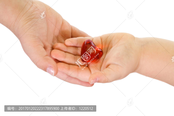把我的心交給你