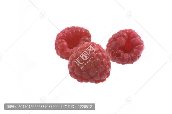 覆盆子