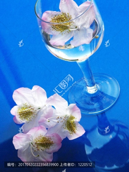 月桂和水玻璃