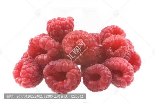 覆盆子