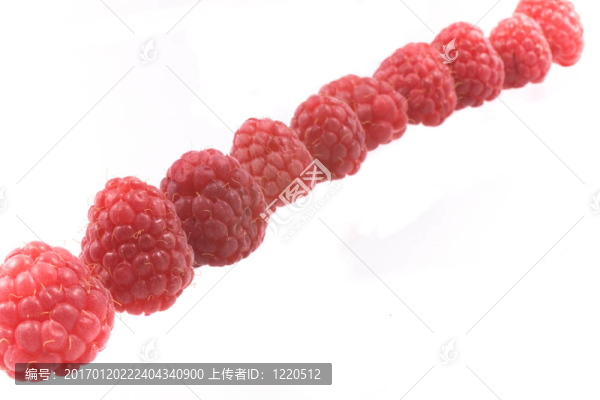覆盆子