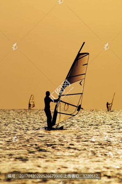 一個帆板在一灣波剪影