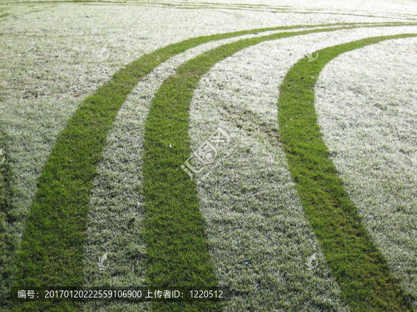 高爾夫球場(chǎng)