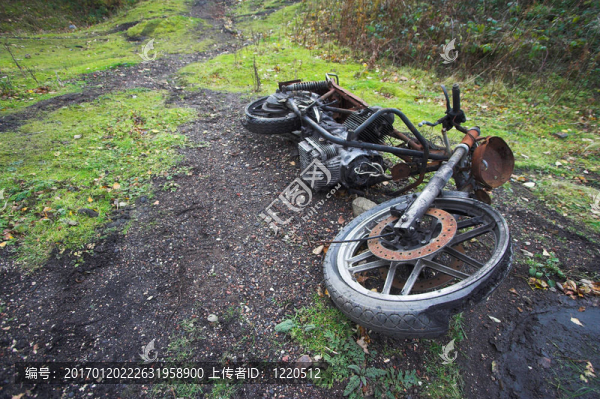 自行車的胴體