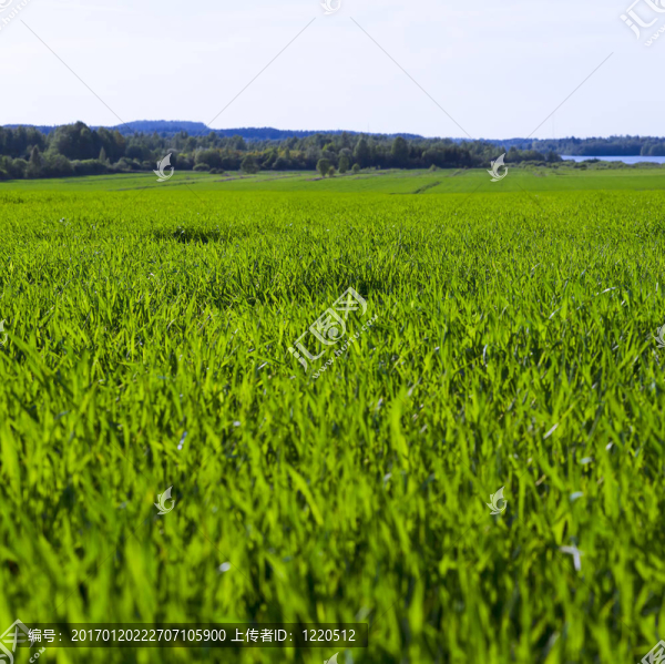 場(chǎng)-匯圖網(wǎng) www.fosd68.com 場(chǎng)