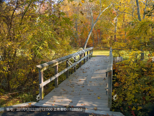 秋天的天橋