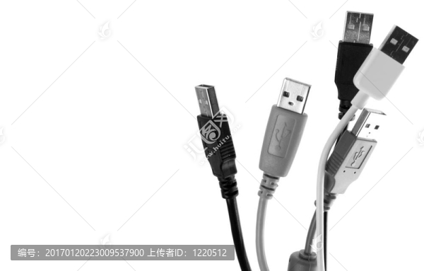 在白色的USB電纜