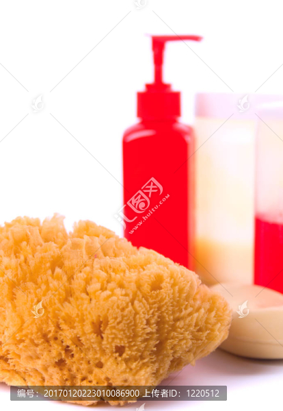 天然海綿；肥皂和身體乳液