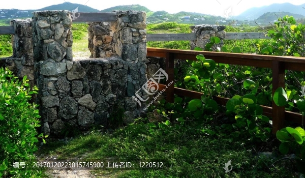 石墻與海葡萄