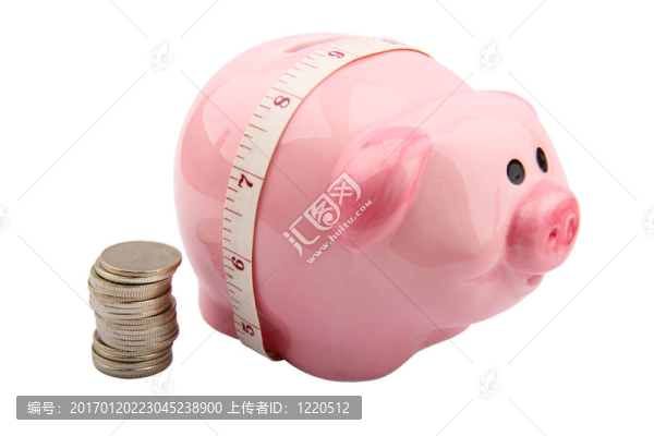 撲滿