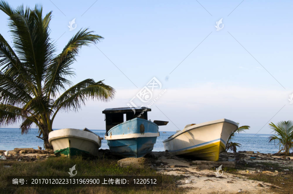 加勒比海沿岸的三條漁船