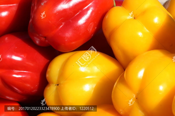 蔬菜