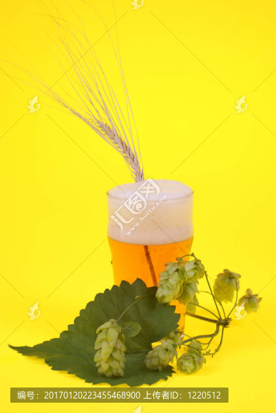 啤酒