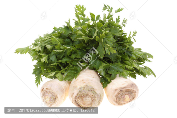 西芹