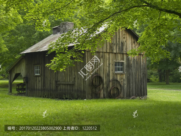 老米爾-匯圖網(wǎng) www.fosd68.com 老米爾