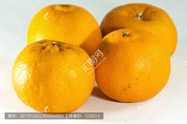 四個(gè)桔子-匯圖網(wǎng) www.fosd68.com 四個(gè)桔子