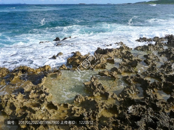 波浪與巖石珊瑚海岸