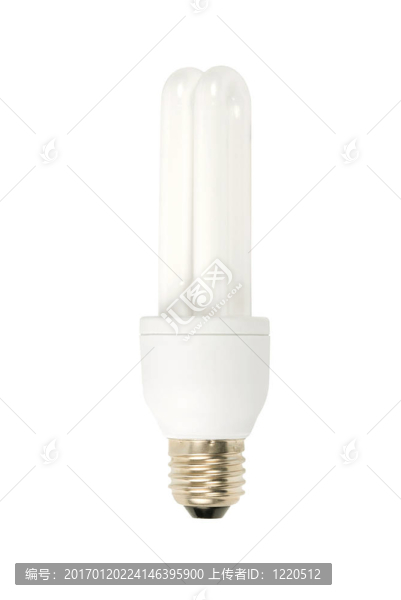 電燈泡