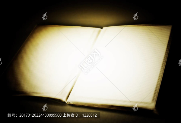 具有復(fù)制空間的相冊(cè)