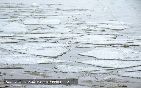 冰在水上