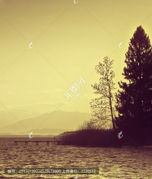 樹和湖