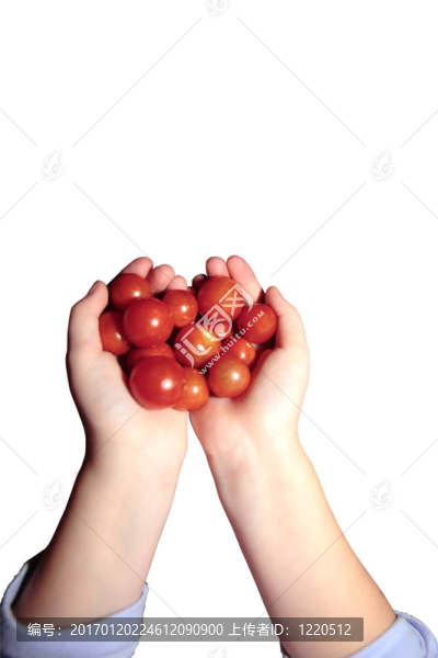 手一些西紅柿3