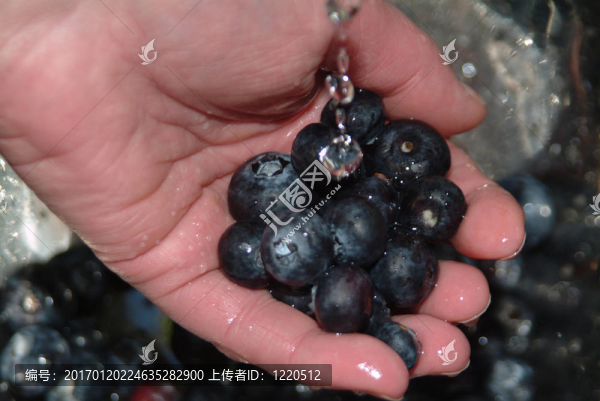 如何制作自制藍(lán)莓醬-匯圖網(wǎng) www.fosd68.com 如何制作自制藍(lán)莓醬