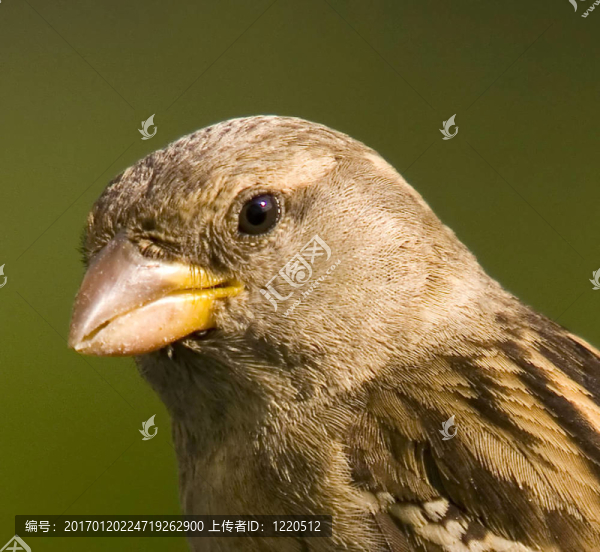 這就是我所說的