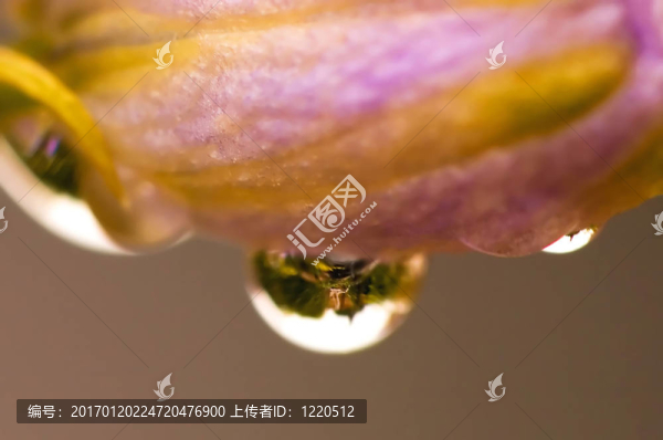 一滴一滴的圖片