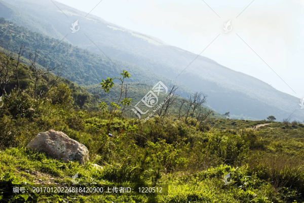 青山