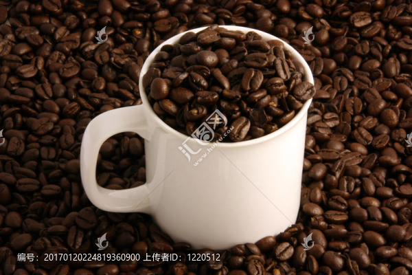 在白色C中的咖啡豆