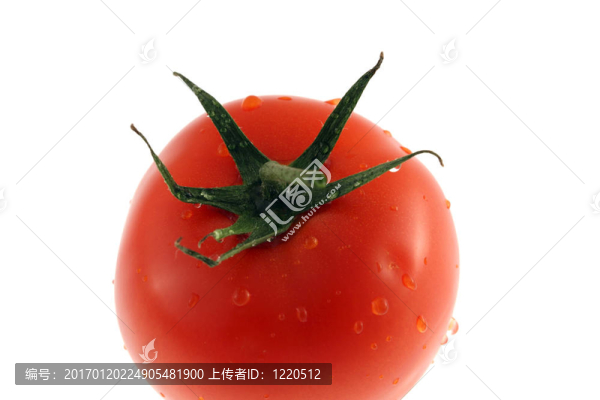 番茄