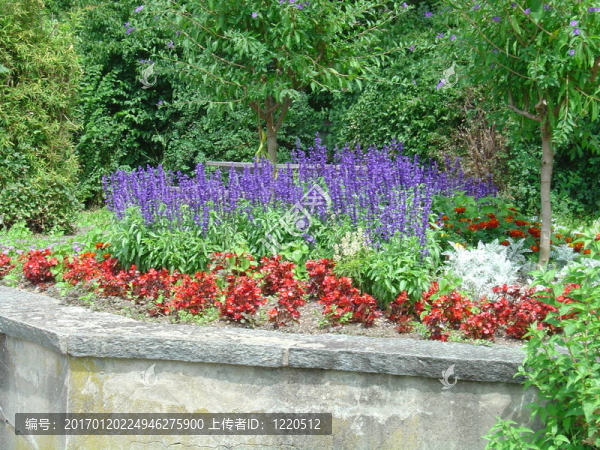 花