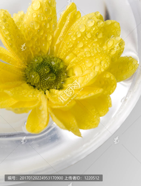 黃色的花