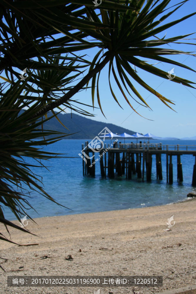 在一個(gè)島上，Jetty