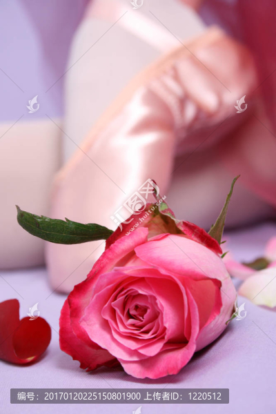 芭蕾鞋