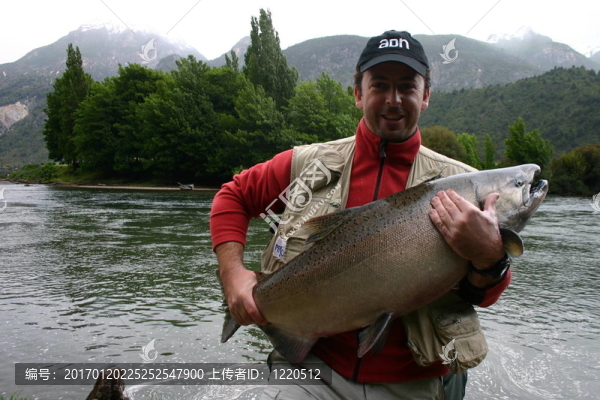 鮭魚