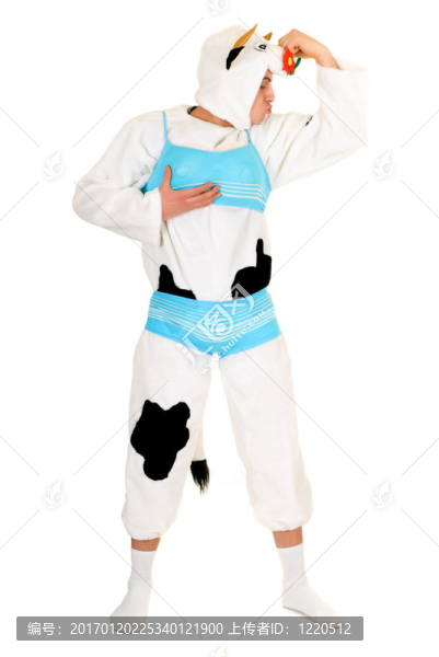 瘋牛病對激素