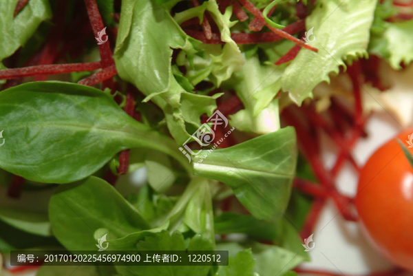 地中海風(fēng)格的希臘沙拉