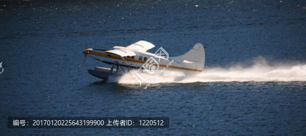 水上飛機