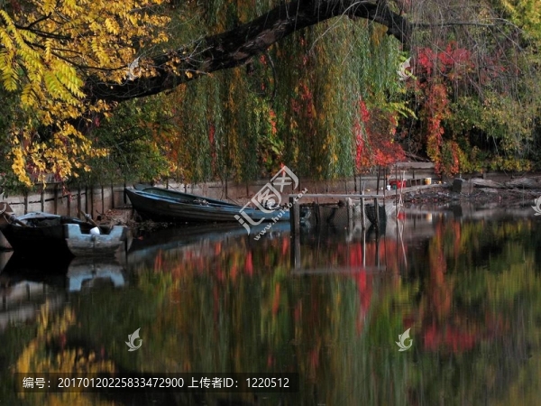 秋天的顏色herastrau公園