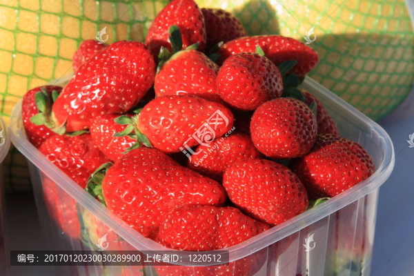 草莓