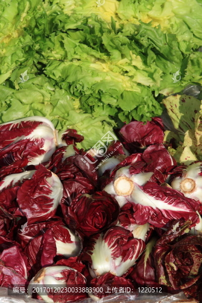 各種顏色的蔬菜