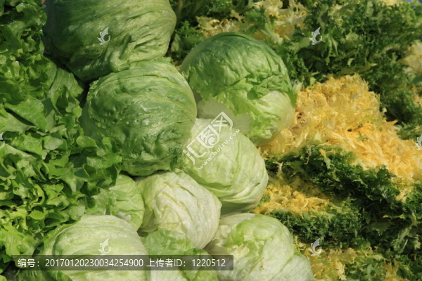 各種顏色的蔬菜