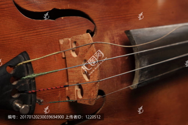 黑色背景小提琴