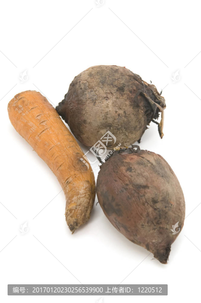 煮熟的甜菜和carrot