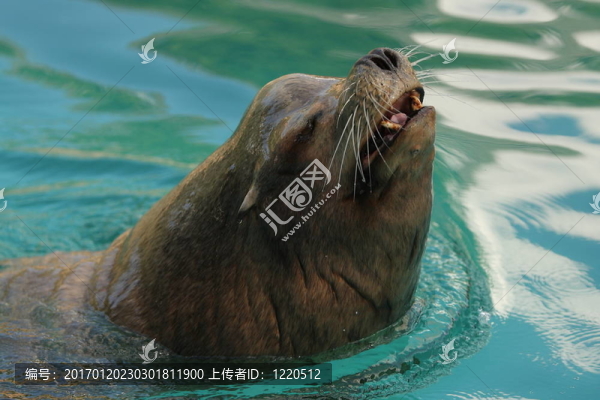 密封頭
