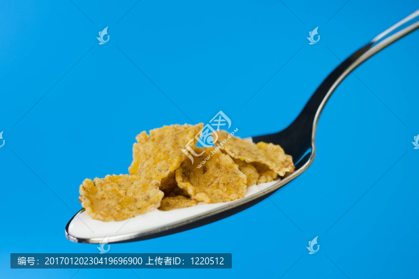 勺子上的玉米片